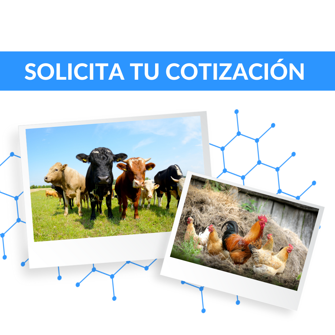 Formularios (1)