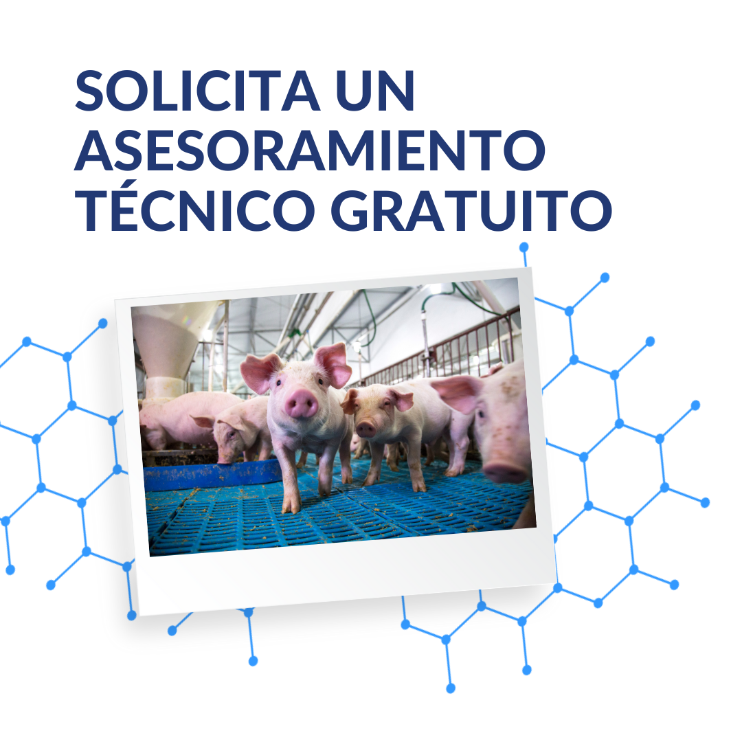 Formularios